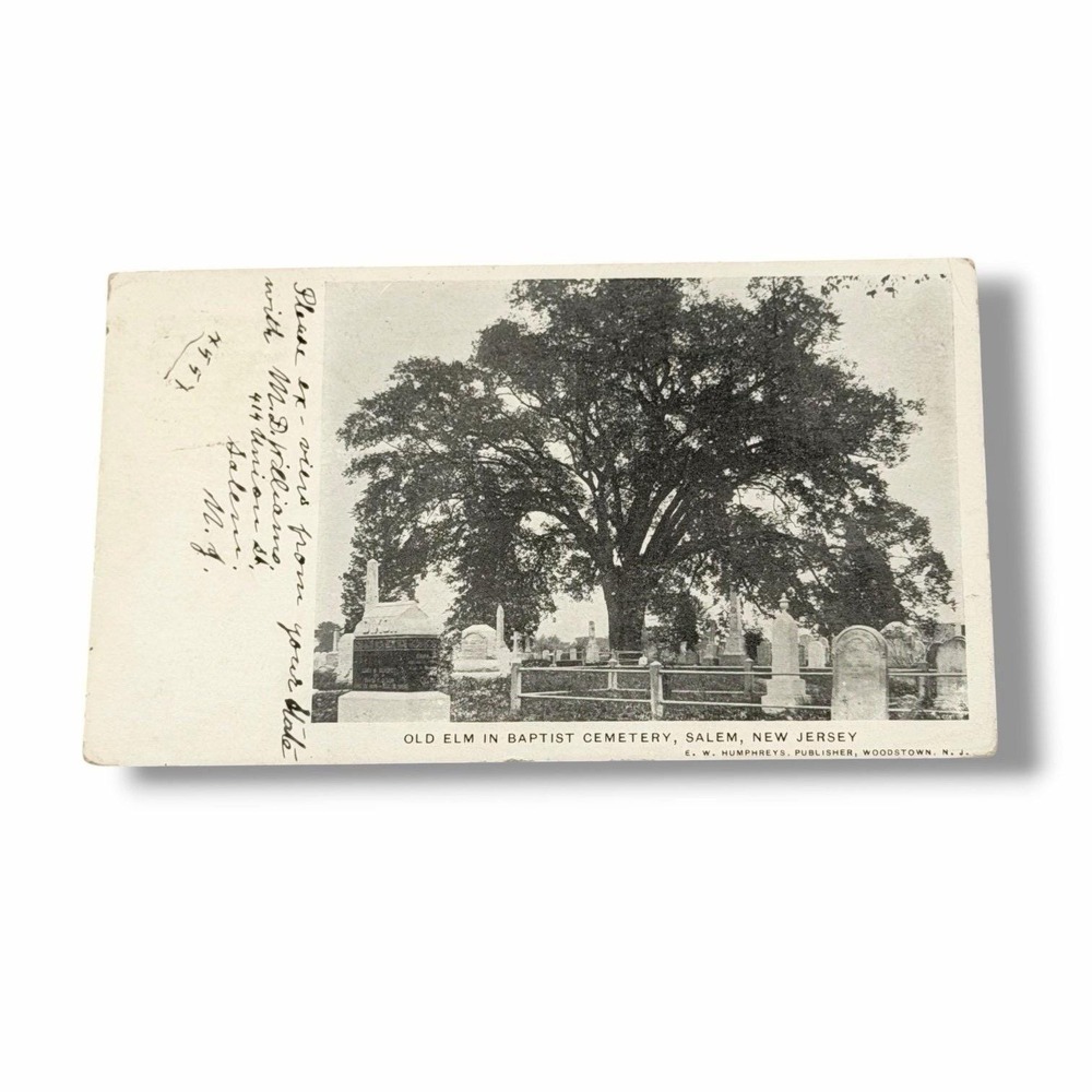 Postcard Old Elm in Baptist Cemetery Salem New Jersey c1907 A665
